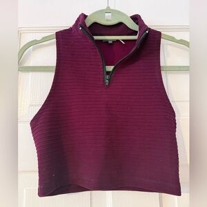 Sparkle & Fade Burgundy Ribbed Crop Top